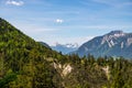 View over green forest and snowy mountain peaks Royalty Free Stock Photo