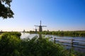 View over green reed grass and water canal on group many windmills in rural landscape in morning sun light against dizzy blue