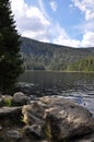 View over the GroÃ¯Â¿Â½er Arbersee in the Bavarian Forest