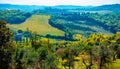 View over the hills covered in olive trees and vineyards around San Donato, Tavarnelle Val di Pesa, Tuscany, Italy Royalty Free Stock Photo