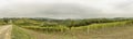 View over the hills with vineyards in beatiful Tuscany in Italy Royalty Free Stock Photo