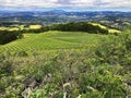 A view over the hills and vineyards of Sonoma County, California Royalty Free Stock Photo