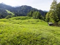 View over hilly, almost undulating lush green meadows. In the foreground is an wooden barn that is still in use. In the