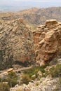 View Towards Tucson from Windy Point Vista