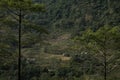 View over huts and terraced rice fields Royalty Free Stock Photo