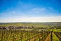 View over the idyllic Main Valley, the vineyards, the Main Loop at the town of Volkach - Germany Royalty Free Stock Photo