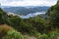 View over Jamieson River in Victoria, Australia Royalty Free Stock Photo