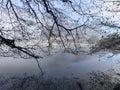 Lake Levico in Trentino, Northern Italy, on a misty autumn morning