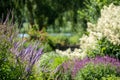 View over the lake at the Millennium Garden at Pensthorpe Natural Park, Norfolk UK, designed by Piet Oudolf. Royalty Free Stock Photo