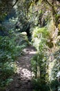 Caldeirao Verde levadas hiking walkway in Madeira mountain