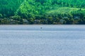 View over Loch Ness in Scotland Royalty Free Stock Photo