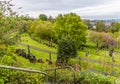 A view over the lower slopes of  the Necropolis in Glasgow Royalty Free Stock Photo