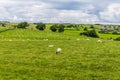 A view over the lower Wharfe Vallet from the Almscliffe crag in Yorkshire, UK