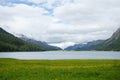 View over a meadow with flowers and Silvaplanersee along Swiss Engadin