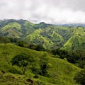 View over Monteverde Royalty Free Stock Photo