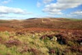 View over moorland to Hamel Tor, Dartmoor Royalty Free Stock Photo