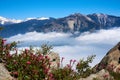 View over the mountain landscape and over the clouds with flowers in the foreground Royalty Free Stock Photo