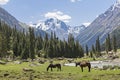 Barskaun Gorge, Kyrgyzstan