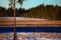 View over nature reserve Vithattsmyrarna, the mires at Mount Vithatten, in northern Sweden Royalty Free Stock Photo