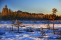 View over nature reserve Vithattsmyrarna and Mount Vithatten in northern Sweden Royalty Free Stock Photo