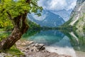 View over Obersee Lake to Alp Mountains, Berchtesgaden, Germany Royalty Free Stock Photo