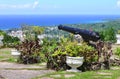 View over Ocho Rios port town from Shaw Park Botan Royalty Free Stock Photo