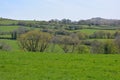 Rural landscape in Springtime, England Royalty Free Stock Photo