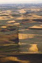 View over patchwork of farms in autumn, Palouse Valley, eastern Royalty Free Stock Photo