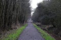 View over the path, right through the Balijbos