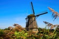 View over reed grass on one old dutch windmill against blue summer sky - Kinderdijk, Netherlands Royalty Free Stock Photo