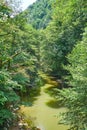 A view over the river and trees Royalty Free Stock Photo