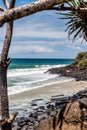 View over a rocky beach with a pandanus tree in the foreground Royalty Free Stock Photo