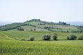 View over rural Tuscany, Italy Royalty Free Stock Photo