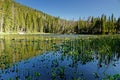 View over Nymph Lake in the Rocky mountain National Park in Colorado