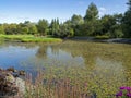 View over a small lake in a garden Royalty Free Stock Photo