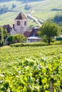 A medieval village in the middle of a vineyard in France Royalty Free Stock Photo