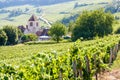 A medieval village in the middle of a vineyard in France Royalty Free Stock Photo