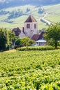 A medieval village in the middle of a vineyard in France Royalty Free Stock Photo