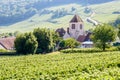 A medieval village in the middle of a vineyard in France Royalty Free Stock Photo