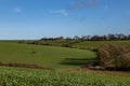 A view over South Downs farmalnd on a sunny winter`s day Royalty Free Stock Photo