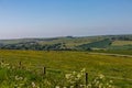 A view over the South Downs near Falmer in Sussex, on a sunny early summer\'s evening Royalty Free Stock Photo