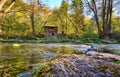 View over the stones in the river to a ruin in the forest