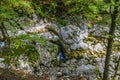 A view over a stream leading from the Savica waterfall feeding lake Bohinj, Slovenia