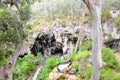 View over Sunken Forest at Lake Cave Royalty Free Stock Photo