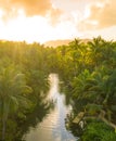 View over sunset over Amazon river with rainforest in Brazil.