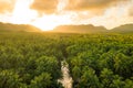 View over sunset over Amazon river with rainforest in Brazil.