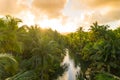 View over sunset over Amazon river with rainforest in Brazil.