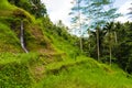 View over Tegallalang rice terraces near Ubud, Bali, Indonesia Royalty Free Stock Photo