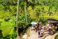 View over Tegallalang rice terraces near Ubud, Bali, Indonesia Royalty Free Stock Photo