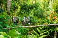 View over Tegallalang rice terraces near Ubud, Bali, Indonesia Royalty Free Stock Photo